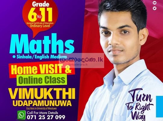 Maths tution