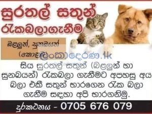 Pet care