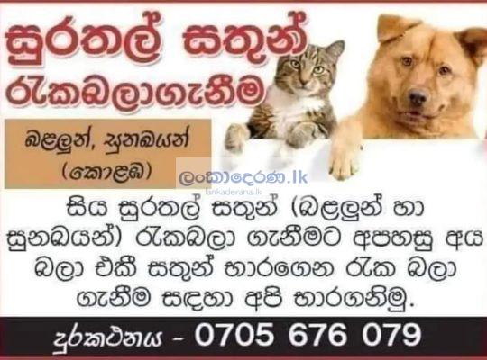 Pet care