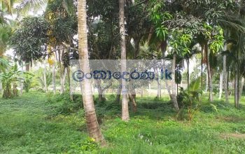 Land for sale