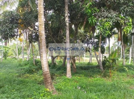 Land for sale