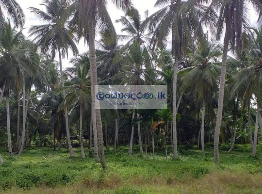 Land for sale