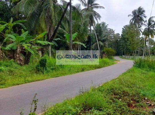 Land for sale