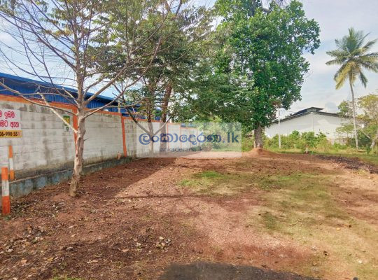 LAND FOR SALE PANNIPITIYA