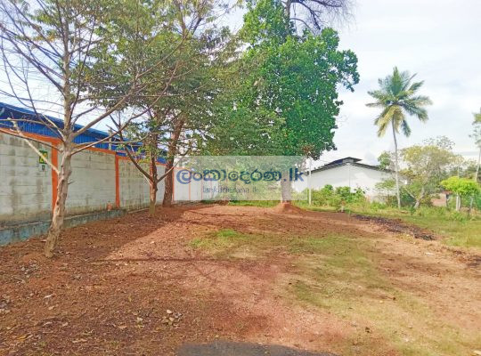 LAND FOR SALE PANNIPITIYA