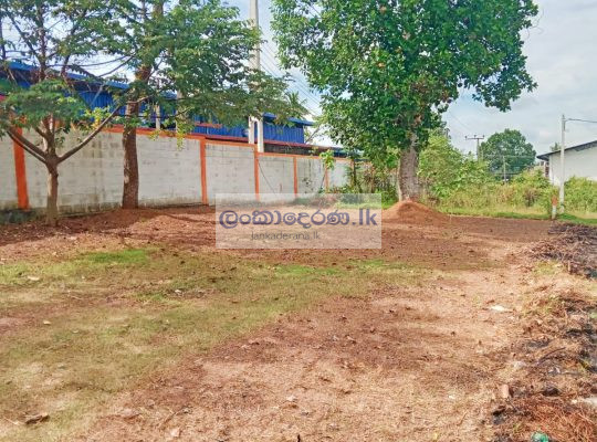 LAND FOR SALE PANNIPITIYA