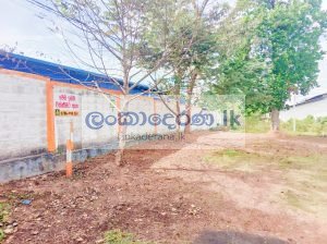 LAND FOR SALE PANNIPITIYA