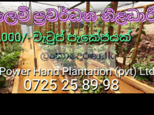 අලෙවි උපදේශකයන් අවශ්‍ය යි