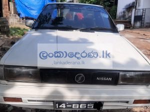 Nissan trad sunny