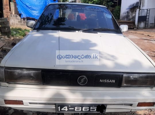 Nissan trad sunny