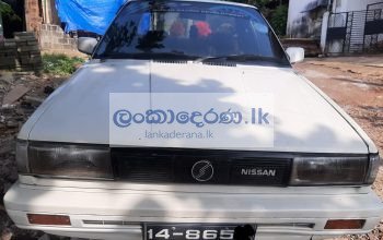 Nissan trad sunny