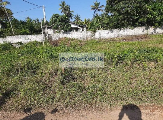 Land for sale