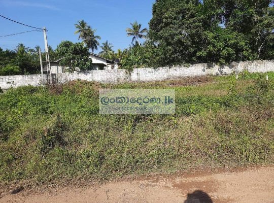 Land for sale