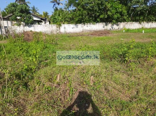 Land for sale