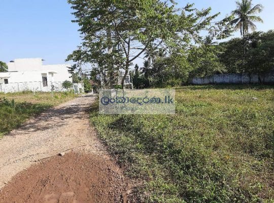 Land for sale