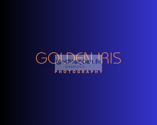 Golden Iris Event Photography