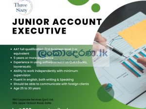 JUNIOR ACCOUNT EXCECUTIVE