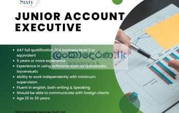 JUNIOR ACCOUNT EXCECUTIVE