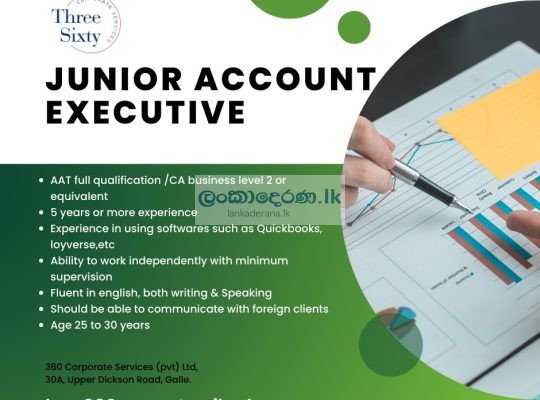 JUNIOR ACCOUNT EXCECUTIVE