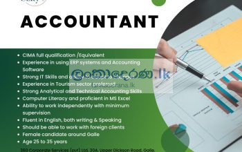 ACCOUNTANT