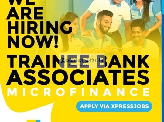 TRAINEE BANK ASSOCIATES