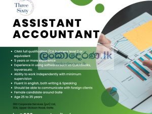 ACCOUNTANT ASSISTANT