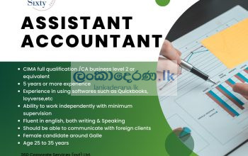 ACCOUNTANT ASSISTANT