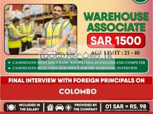 WAREHOUSE ASSOCIATES