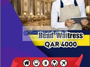 Head Waitress