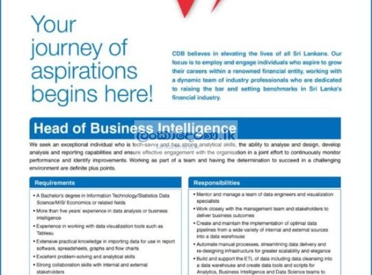 Head of business Intelegent