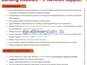 Banking assitant IT NETWORK SUPPORT