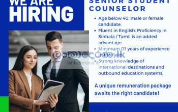 Senior student counselor