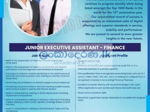 Junior executive assistant