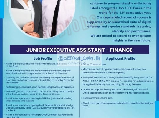 Junior executive assistant