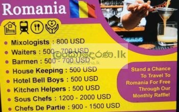 Romania jobs