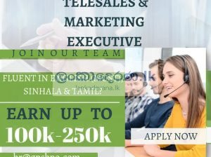 Telesales Marketing & Excecutives