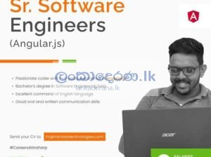 Software Engineers