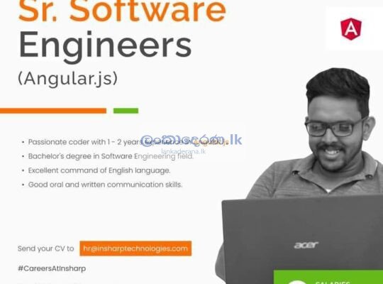 Software Engineers