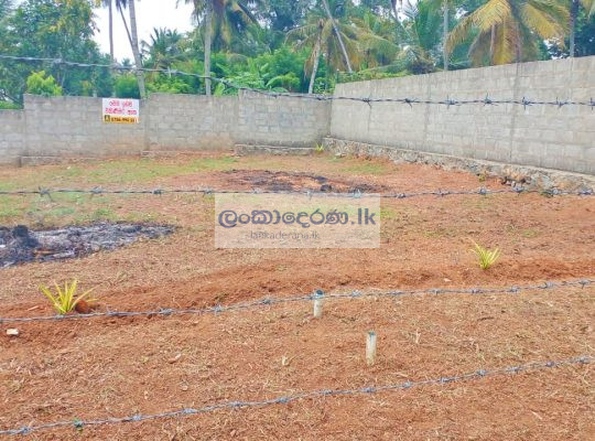 LAND FOR SALE PANNIPITIYA