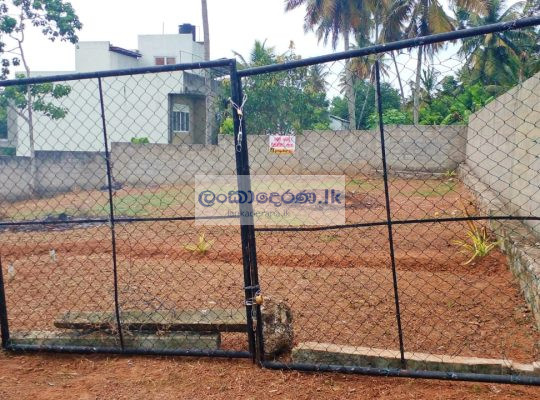 LAND FOR SALE PANNIPITIYA