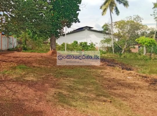 LAND FOR SALE PANNIPITIYA