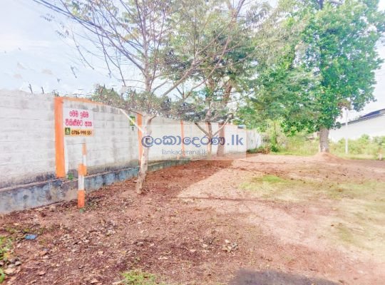 LAND FOR SALE PANNIPITIYA