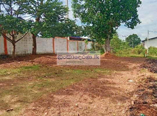 LAND FOR SALE PANNIPITIYA