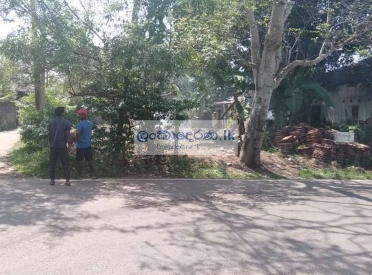 Land for Sale in Kahapola-Piliyanda