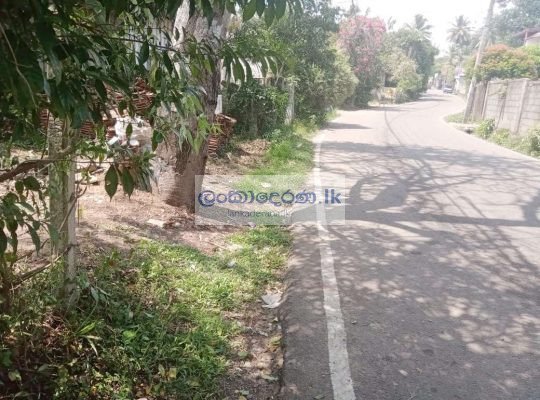 Land for Sale in Kahapola-Piliyanda