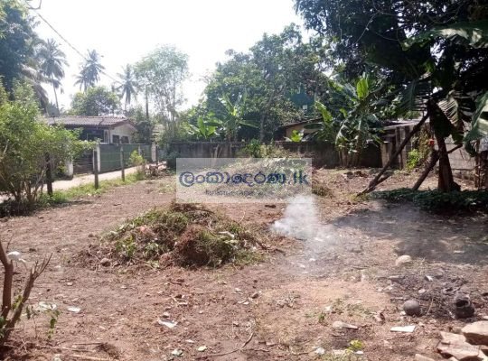 Land for Sale in Kahapola-Piliyanda