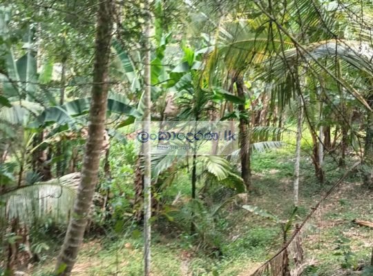 Land for quick sale Kurunegala ,polpitiya