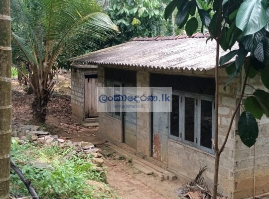 Land for quick sale Kurunegala ,polpitiya