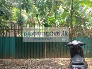 Land for quick sale Kurunegala ,polpitiya