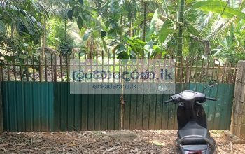 Land for quick sale Kurunegala ,polpitiya